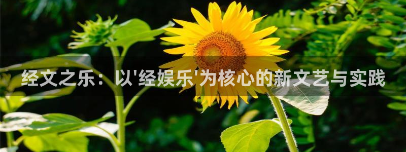红足1世足球官网入口：经文之乐：以\'经娱乐\'为核心的新文艺与实践