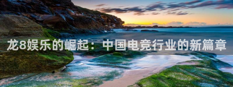 红足1世足球网：龙8娱乐的崛起：中国电竞行业的新篇章