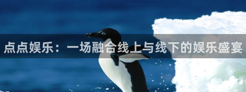 红足1世官网：点点娱乐：一场融合线上与线下的娱乐盛宴