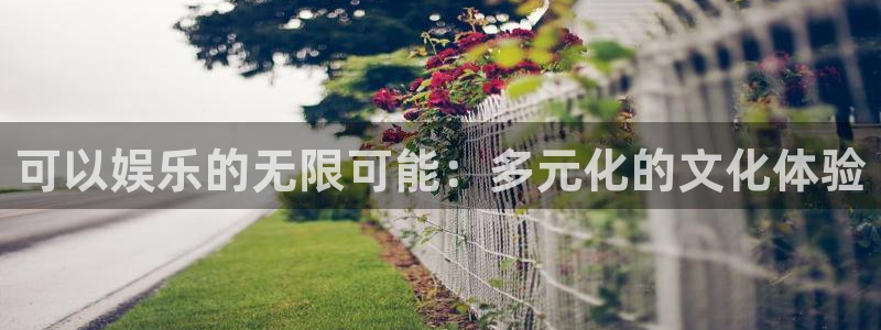 红足1世44814：可以娱乐的无限可能：多元化的文化体验