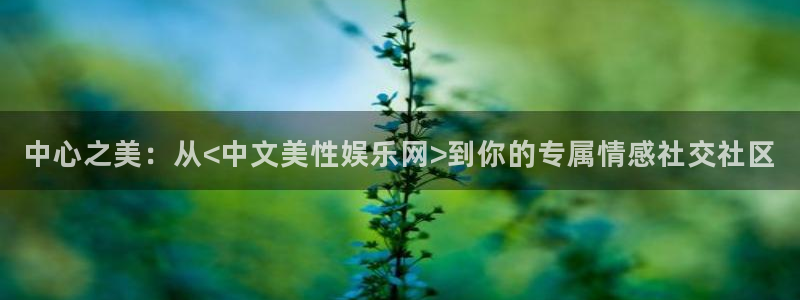 红足1世足球官网入口：中心之美：从<中文美性娱乐网>到你的专属情感社交社区