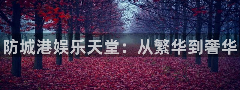 红足1世66814手机：防城港娱乐天堂：从繁华到奢华